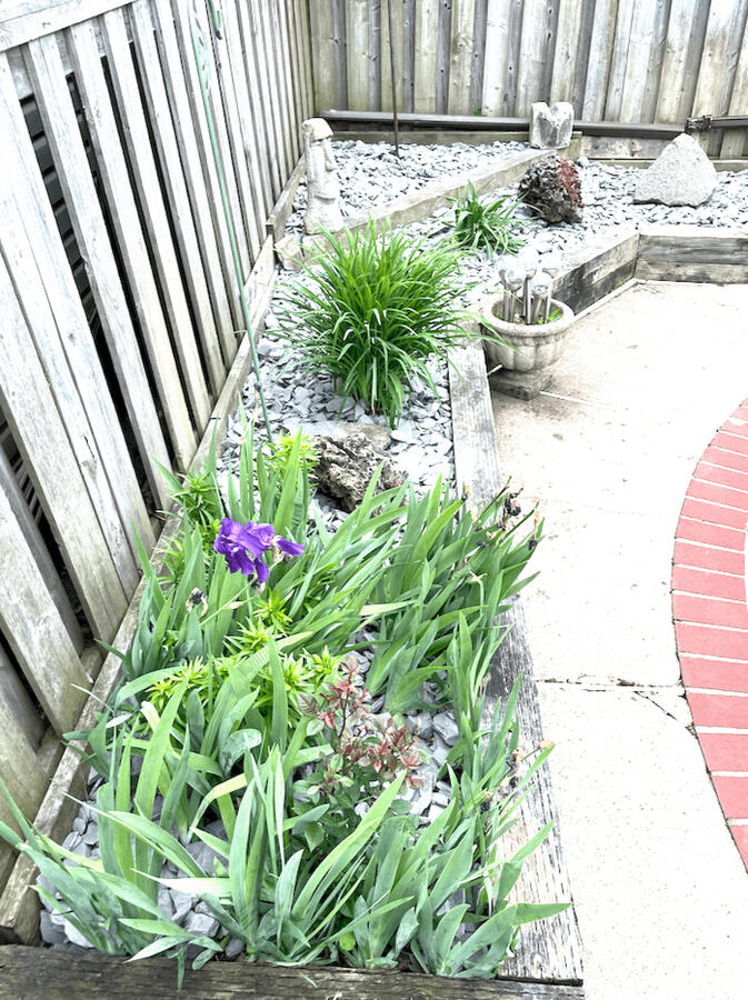 Backyard landscaping